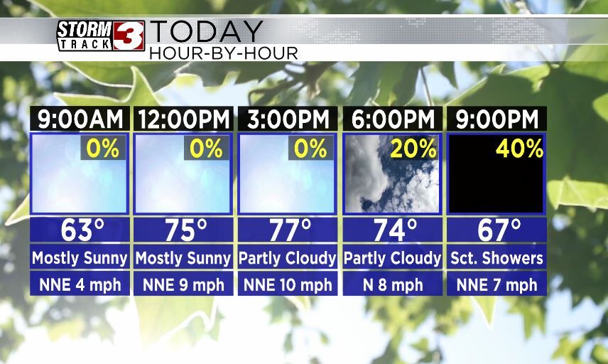 Hourly Forecast